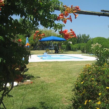 Casa Das Andorinhas Bed and Breakfast Palmela Zewnętrze zdjęcie