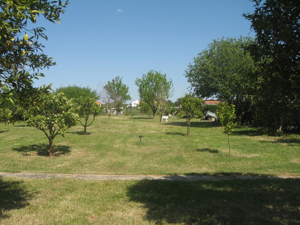 Casa Das Andorinhas Bed and Breakfast Palmela Zewnętrze zdjęcie