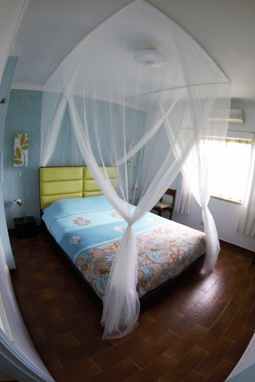 Casa Das Andorinhas Bed and Breakfast Palmela Zewnętrze zdjęcie