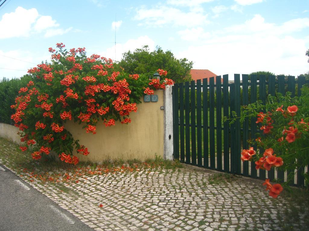 Casa Das Andorinhas Bed and Breakfast Palmela Zewnętrze zdjęcie